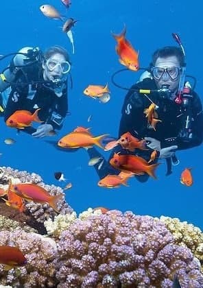 Tour Lặn Biển Hòn Nưa Phú Yên